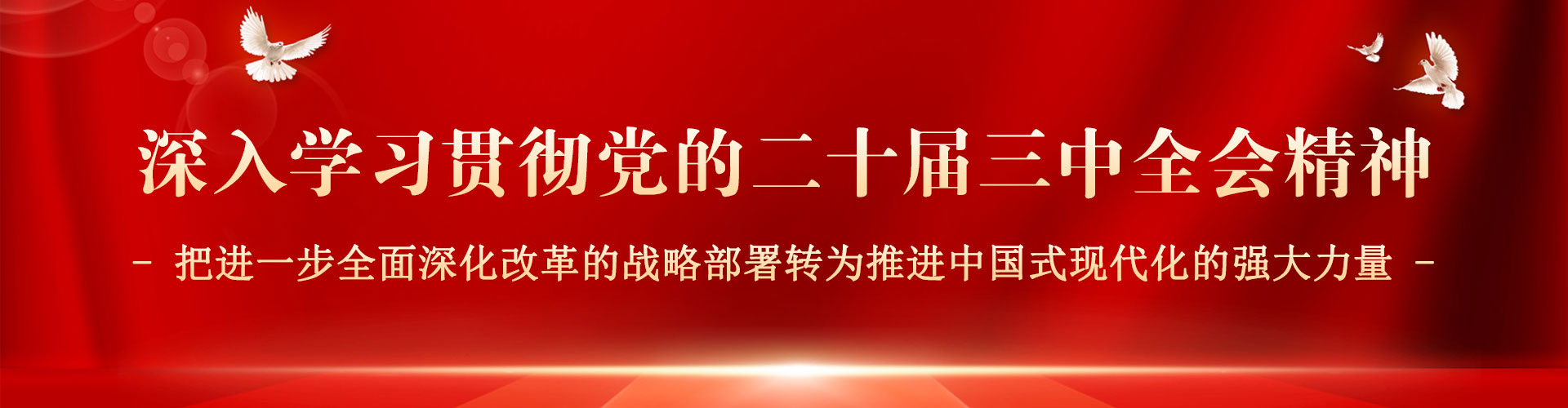 BBIN官网